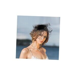 Black Feather Silk Fascinator Mesh Net Hat Hair Clip Wedding Tea Cocktail Party